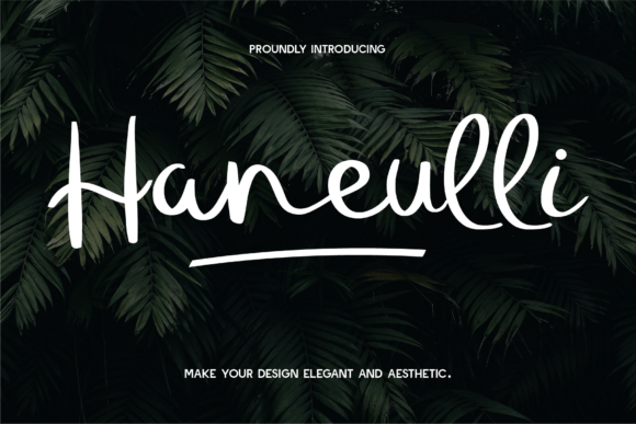 Haneulli: A Handwritten Font for Modern Campaigns