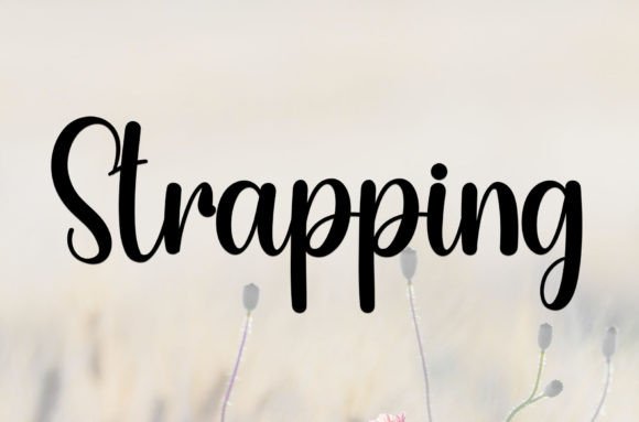 Strapping Font Review: Elegant Script for Branding