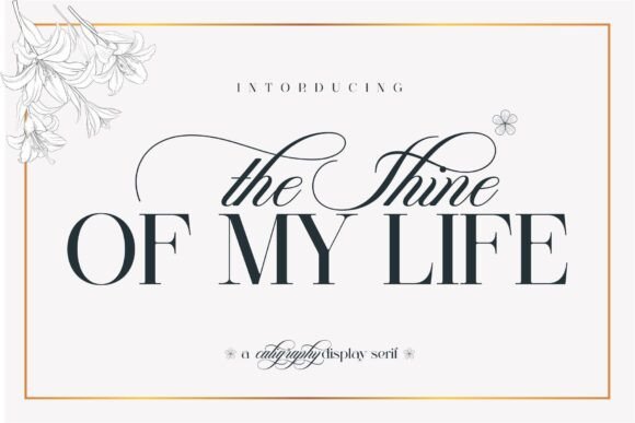 The Shine of My Life Font Review