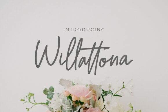 Willattona: A Versatile Script Font for Crafters