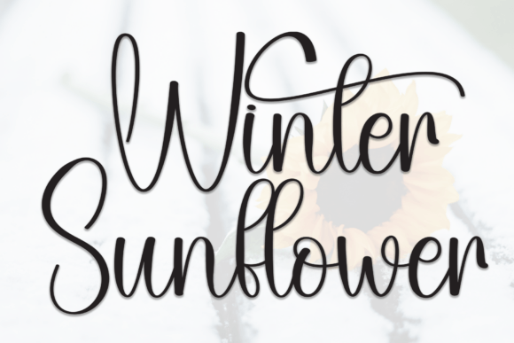 Winter Sunflower: A Handwritten Font for Editorial Design